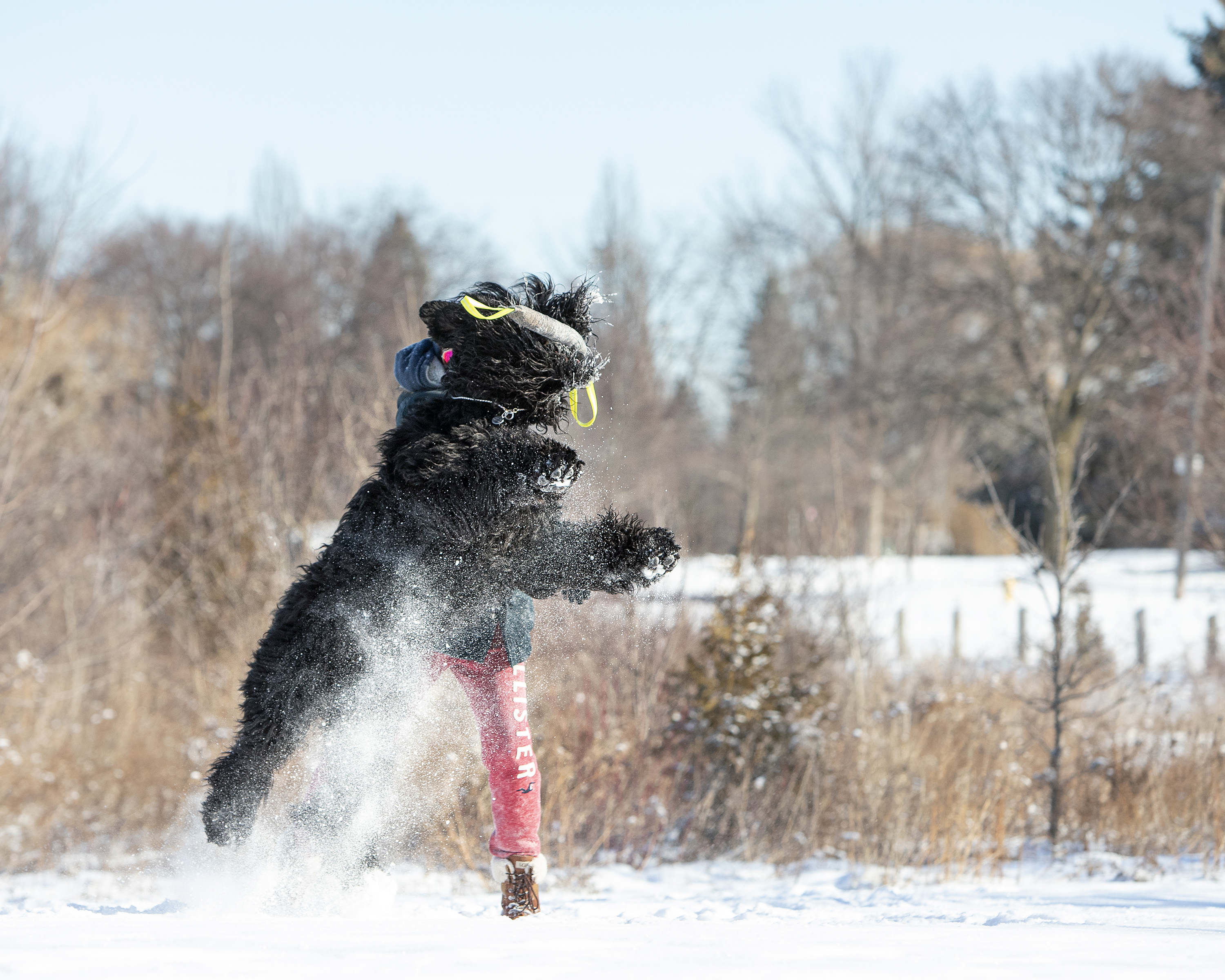 Slideshow sample 20